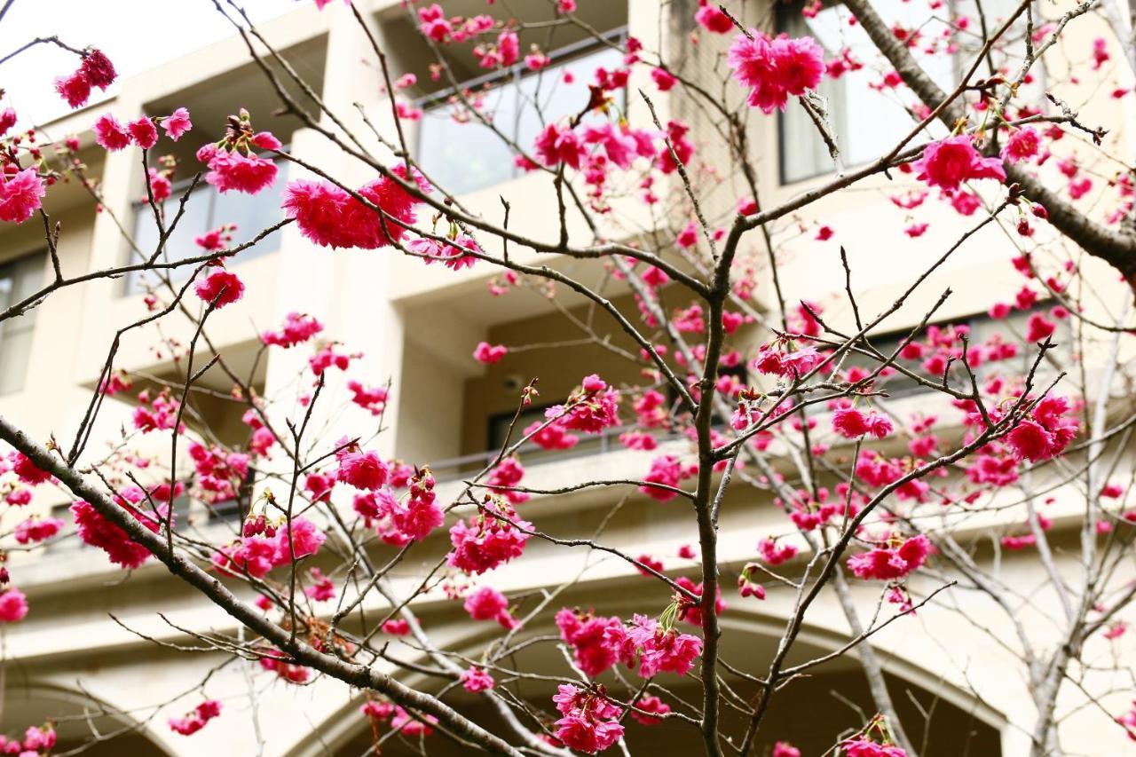 Tai-Yi Red Maple Resort Puli Exteriér fotografie